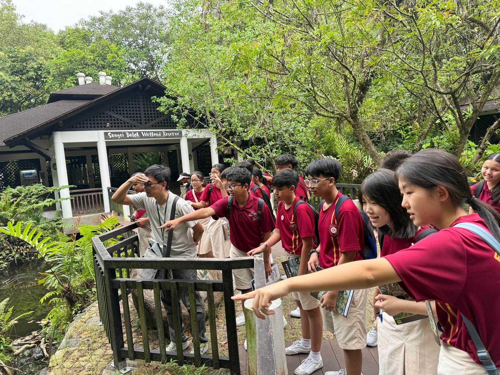 Secondary 2 students observing wildlife and learning about the mangrove ecosystem at Sungei Buloh Wetland Reserve with a guide.